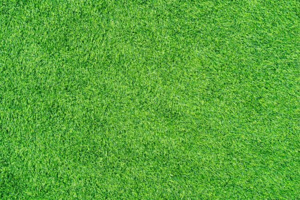 Flat green artificial grass texture or background.